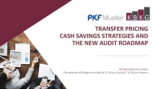 Transfer Pricing Cash Savings Strategies and New Tax Audit Rules
