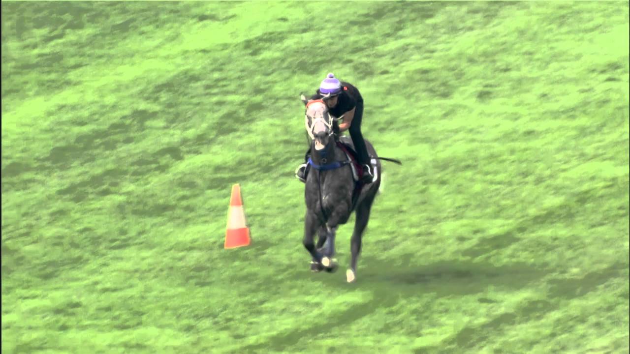 [Champions Mile & Chairman's Sprint Prize 2016] Tommy Berry interview