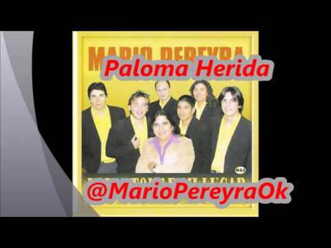 Ver video de Paloma herida