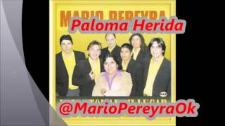 Versión 1 del video
