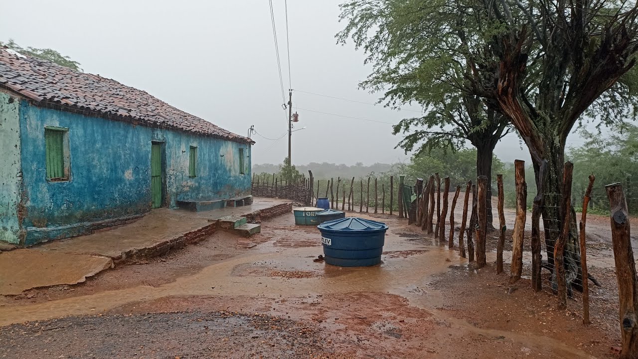 4 horas da manhã chuva no sertão 🙏🌧️