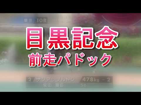 目黒記念2021 前走パドック