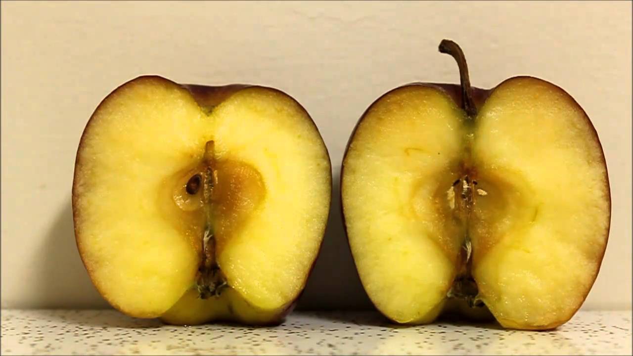 Decaying Apple YouTube