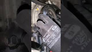 Engine timing seal leak
