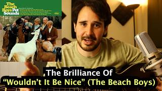 The Brilliance of "Wouldn't It Be Nice" (The Beach Boys) | Barracuda Breakdowns Ep. 27
