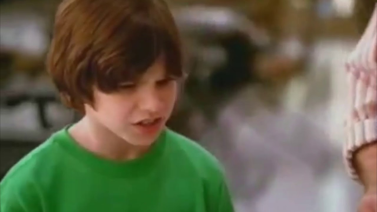 Over the Hedge commercials