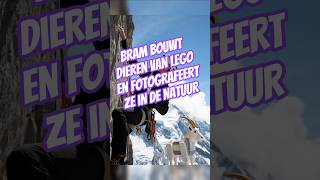 Download Lagu bram bouwt dieren van lego en fotografeert ze in de natuur MP3