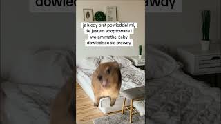 Mama 😂 #polska #funny #memes #śmieszne #para #memy #couple #polska #animals
