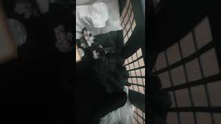 Cat Vs Bread Bread Face Cat Lol