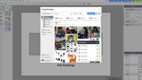 LucidPress: Import and Organize Images