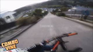 Combo Vine 1225