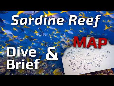 Sardine Reef Raja Ampat Dive Site.
