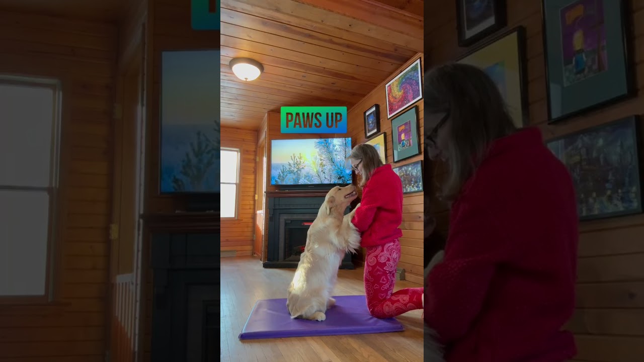 Gillian Intermediate Trick Dog