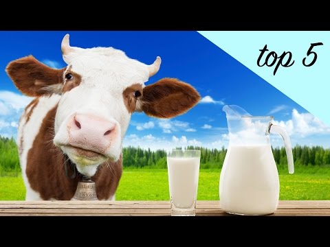 Video: How Much Protein Is In Milk And Dairy Products? TOP-49 Table