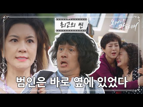 [#오케이광자매] 자기 인생을 망친 범인(떡집 아들)인 줄도 모르고 그동안 잘해줬던 김혜선💦 ㅣ KBS방송