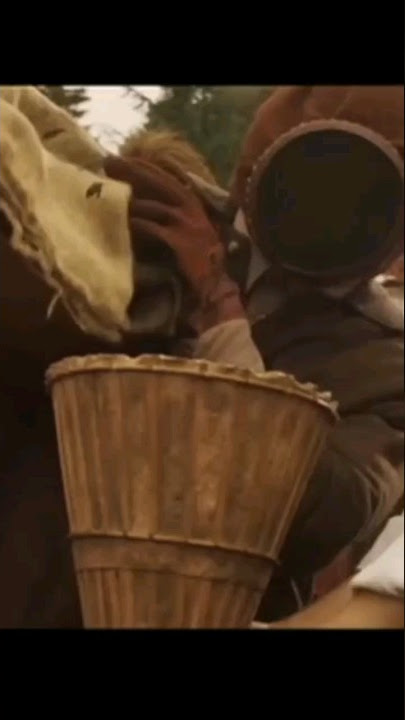 filem the bok movies seru banget gaes menegangkan