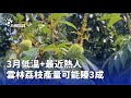 臺鐵停駛與天氣事件