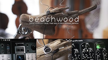 Diego Stocco - Beachwood / Real-Time Multi-Processing Improv