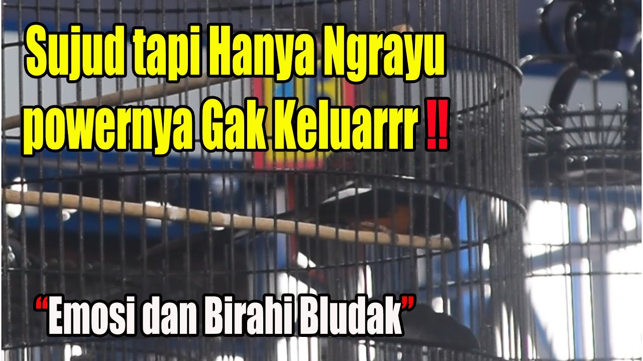 SUDAH BERBAGAI MACAM CARA TAPI MASIH SAMA 👉 COBA DENGAN CARA INI ‼️