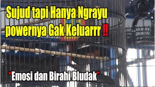 Download Lagu SUDAH BERBAGAI MACAM CARA TAPI MASIH SAMA 👉 COBA DENGAN CARA INI ‼️ MP3