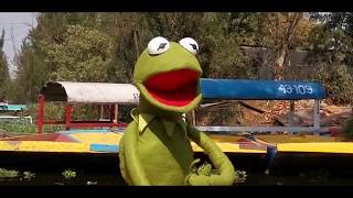 El Gran Arcoirirs La Rana Memé Los Monomanos Homenaje A Jim Henson Y Los Muppets