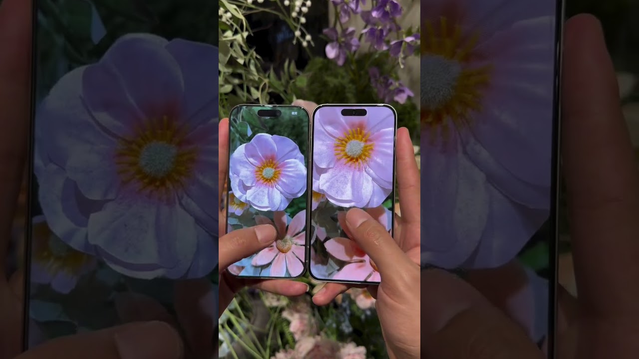 iPhone vs Oppo reno 15 pro mini 😯💀 Camera testing 