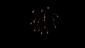 CP3055 - Time Rain Willow - 3" Display Shells