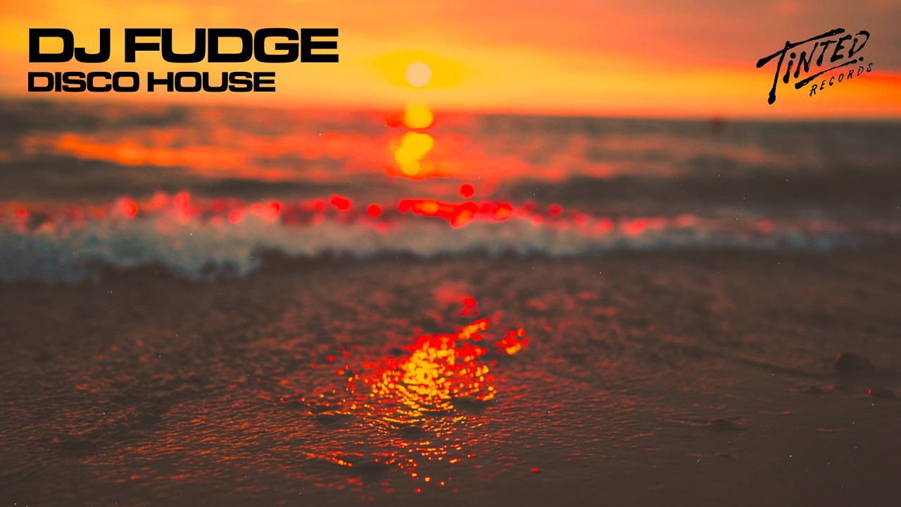 Tinted Records: Disco House Mix by DJ Fudge