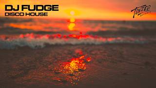 Tinted Records: Disco House Mix by DJ Fudge