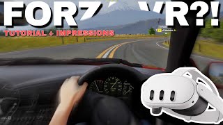 Forza Horizon 6 Has VR NOW?!.. Kinda