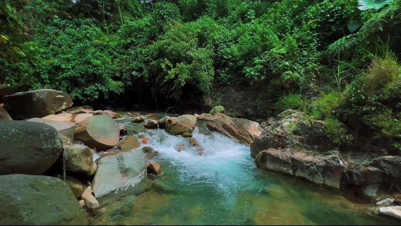 Flowing River Water Sounds for Sleep Anxiety Relief | Natural Relaxation Ambient for Rest | 4K-HDR