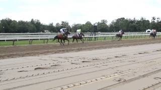 Saratoga Race Course : Saratoga 150th : Interview : Andy Serling