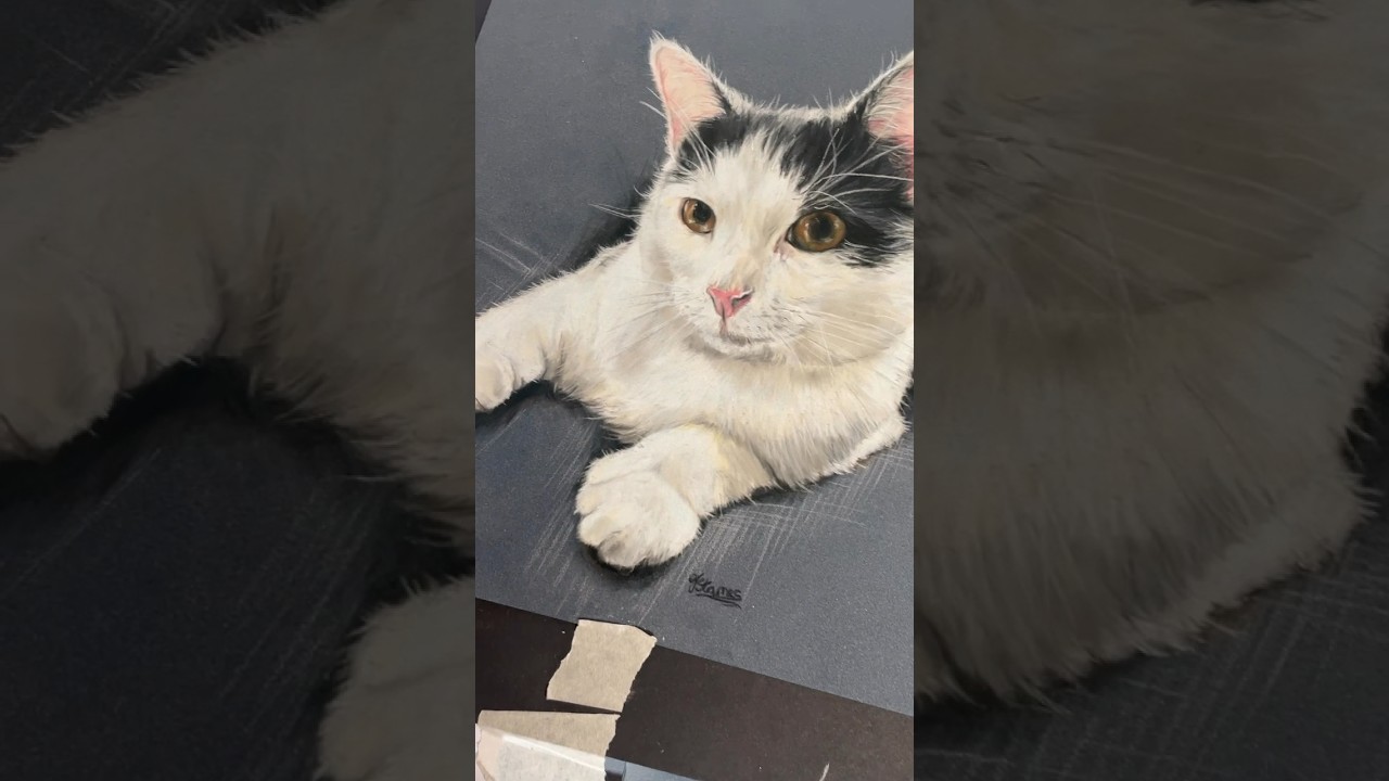 Can I draw your cat? 