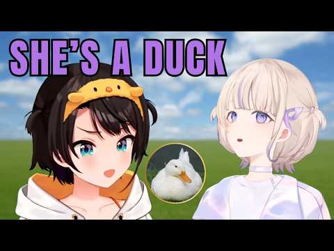 ReGLOSS Thought Subaru Was A Duck... Hajime Confirmed It [Hololive]