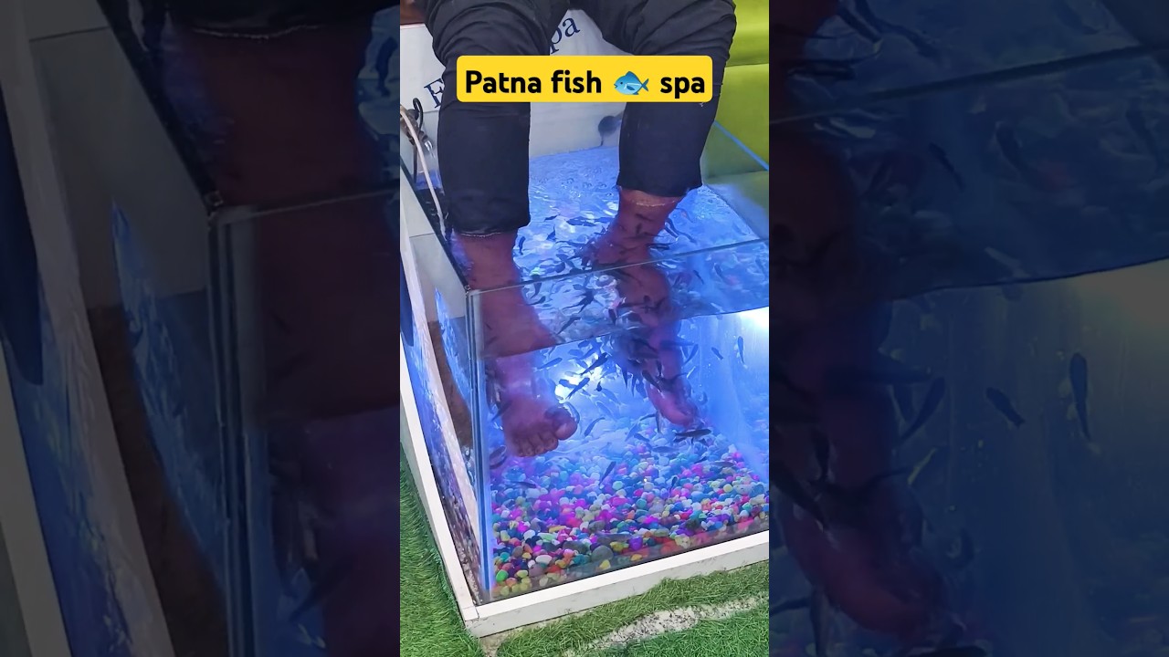 patna fish spa in mall 
