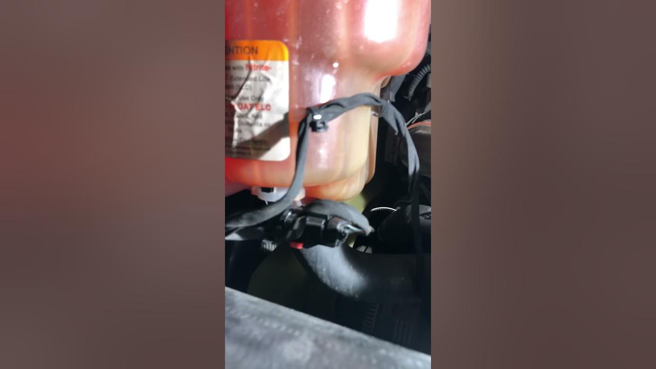 20182019 Freightliner Cascadia Coolant Level Sensor YouTube