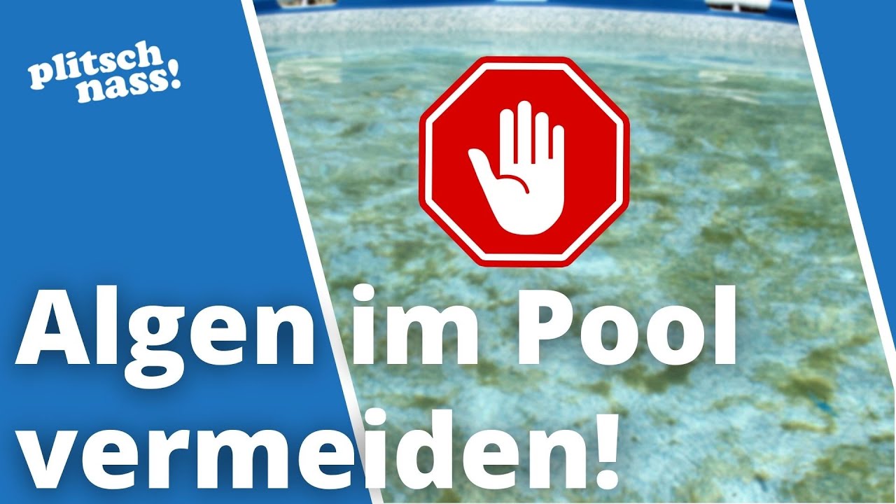 Algen im Pool vermeiden: 7 Tipps zum Vorbeugen