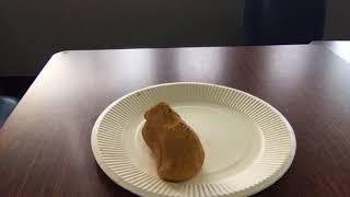 Humanities Artifact movie