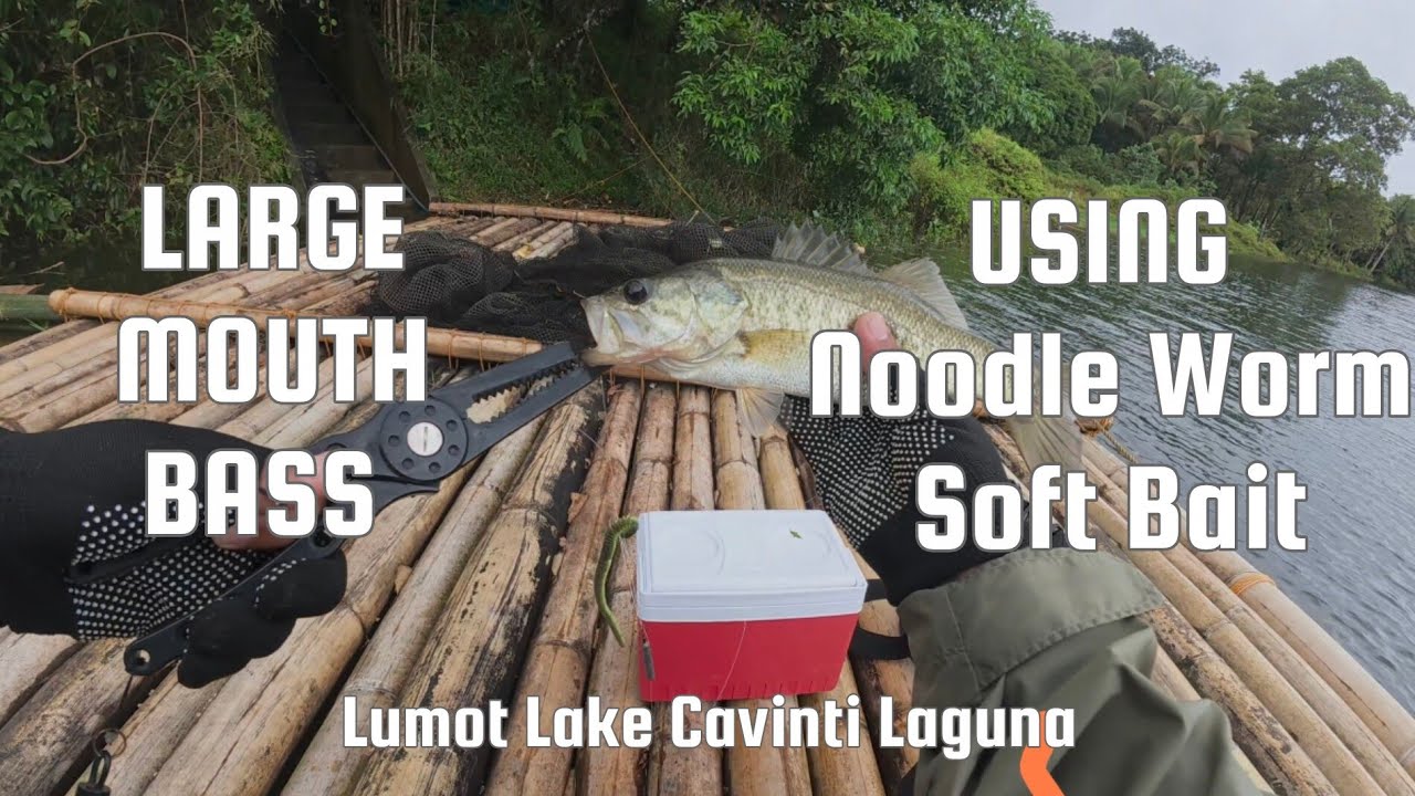 Fishing Philippines | Large Mouth Bass | Lumot Lake Cavinti Laguna 