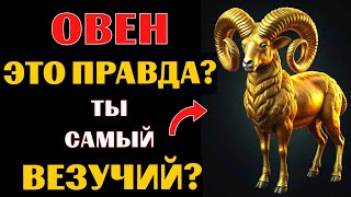 : 15 ,   -    .  