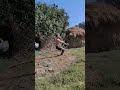 Motivational shorts #youtubeshorts #motivation #motivationalvideo #army #trend
