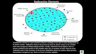 US 8 Grade Science Chapter 4 - Periodic Tables