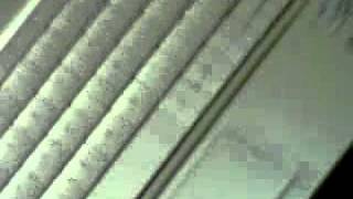 VID 01375 20110221 0521