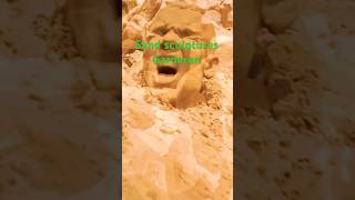 Mind-Blowing Sand Creations in the Netherlands 🇳🇱 Garderen