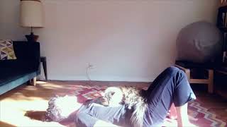 SUPPORT FOR BELLY BREATHING | Embodied Astrology Somatic Space /w Renee Sills