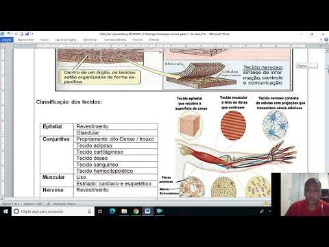 Vídeo: Diferencia Entre Golfo Y Estrecho