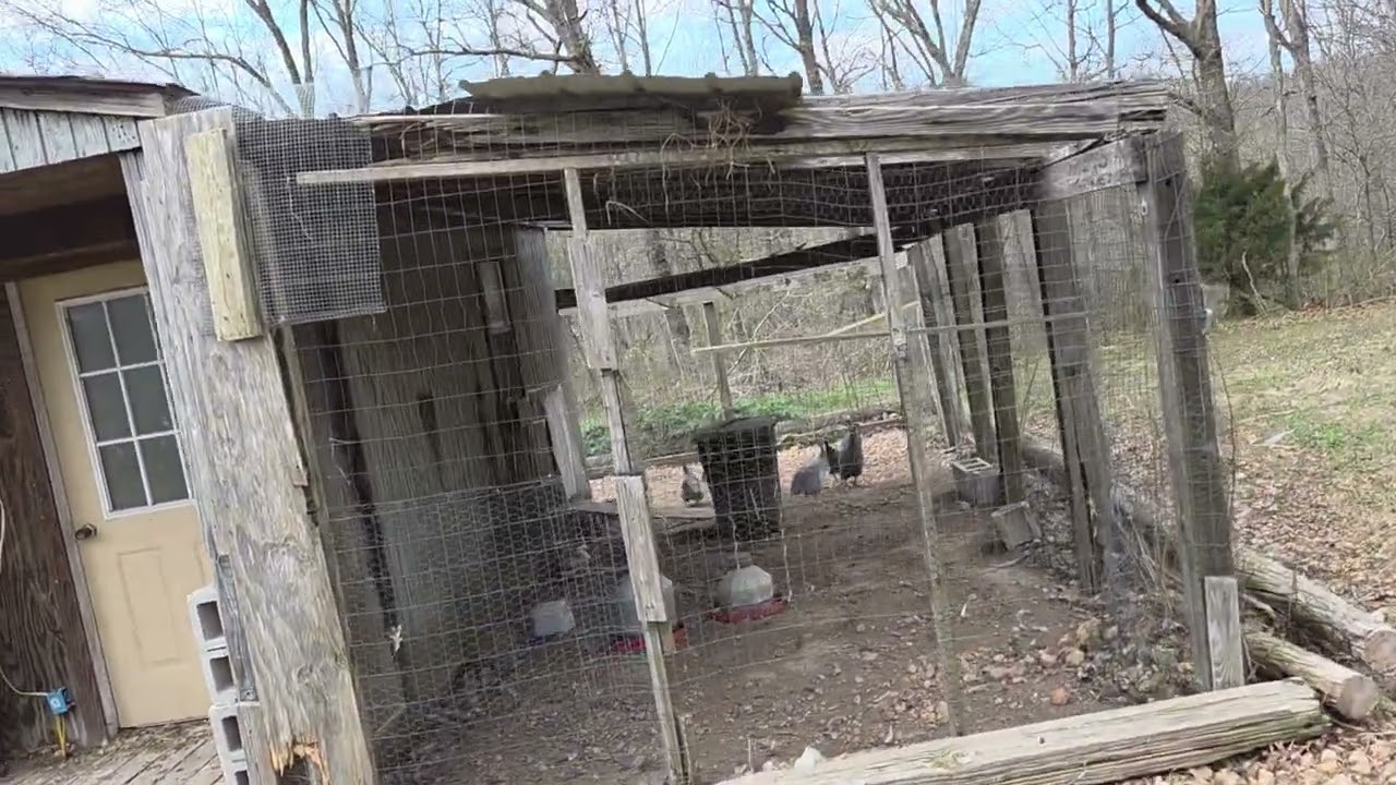 It's time to 🐝 busy again. Winter hibernation is over.