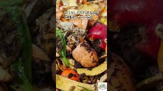 Composting Magic: Turning Waste into Gold