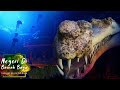 Deep Diving Gharial Habitat - Underwater Boat Ride 🐊 | Planet Zoo Speed Build - Southeast Asia Pack