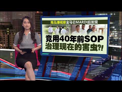 竟用40年前SOP治现在的害虫？官方指南严重脱节，副农长视察促加速检讨！ | 新闻报报看 04/10/2026